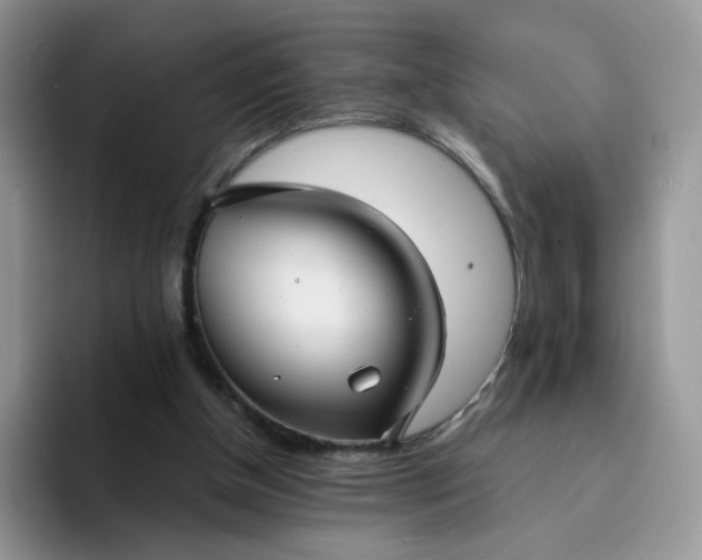 X0000094220154200711091302