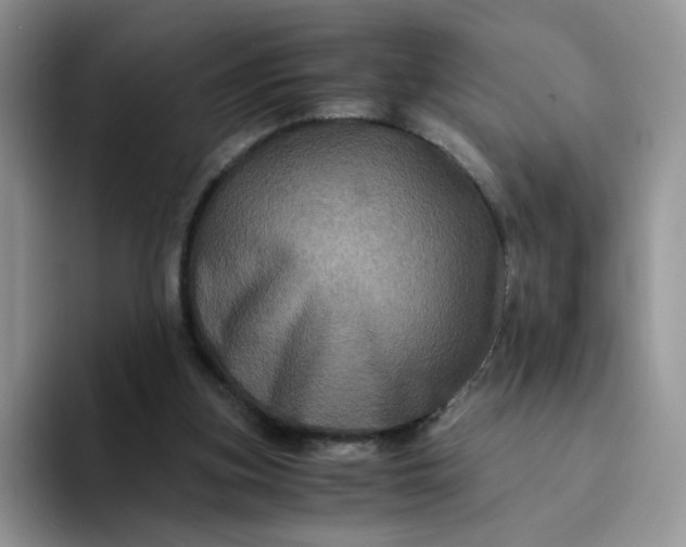 X0000094220155200711091302