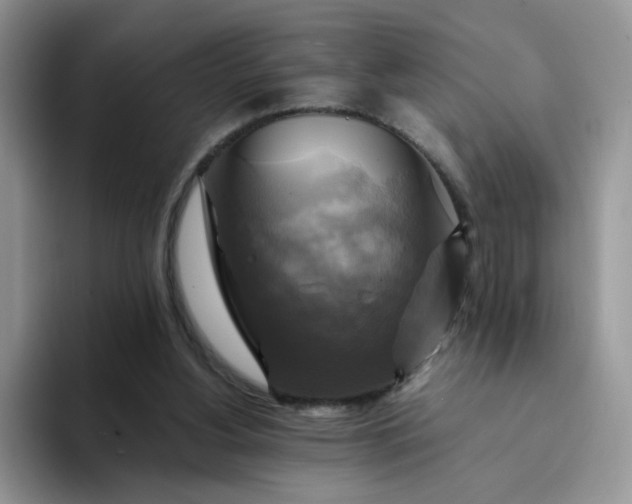 X0000094220156200711091302