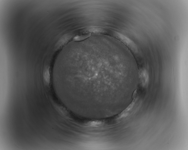 X0000094220158200711091302