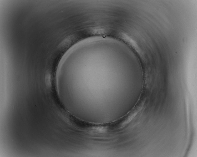 X0000094220161200711091302