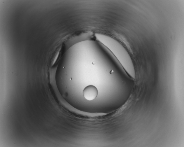 X0000094220162200711091302