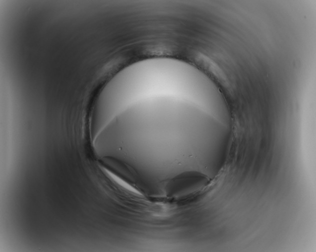 X0000094220163200711091302