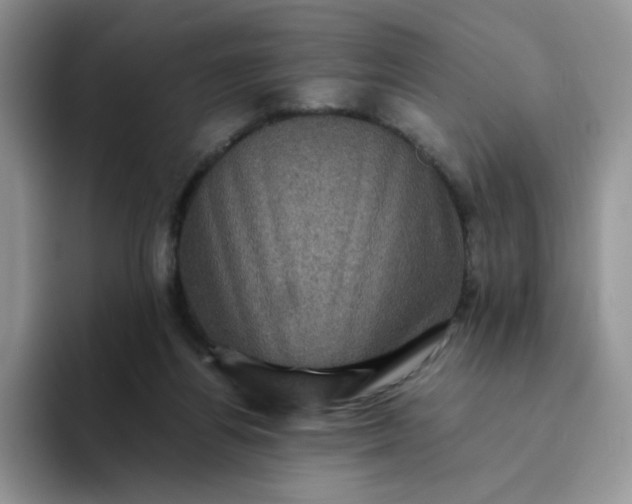 X0000094220164200711091302