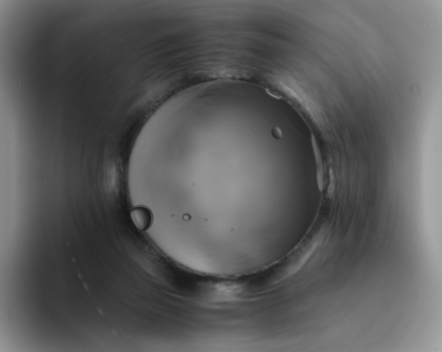 X0000094220165200711091302