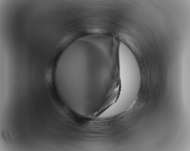 X0000094220167200711091302