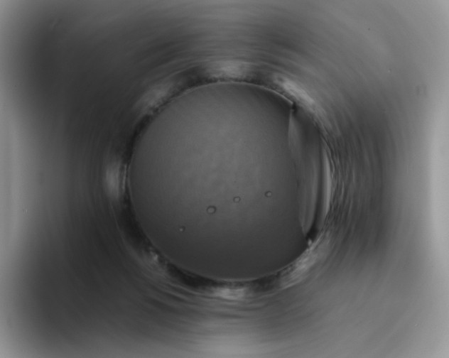 X0000094220168200711091302