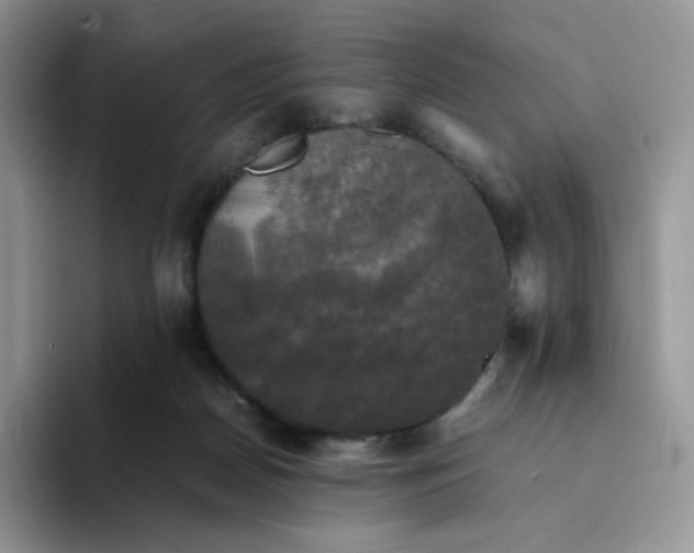 X0000094220170200711091302