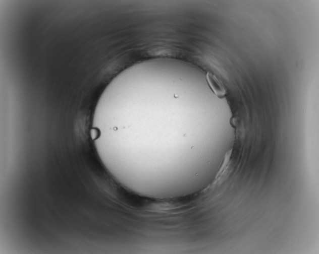 X0000094220171200711091302