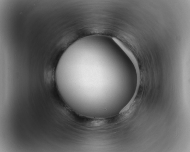 X0000094220172200711091302