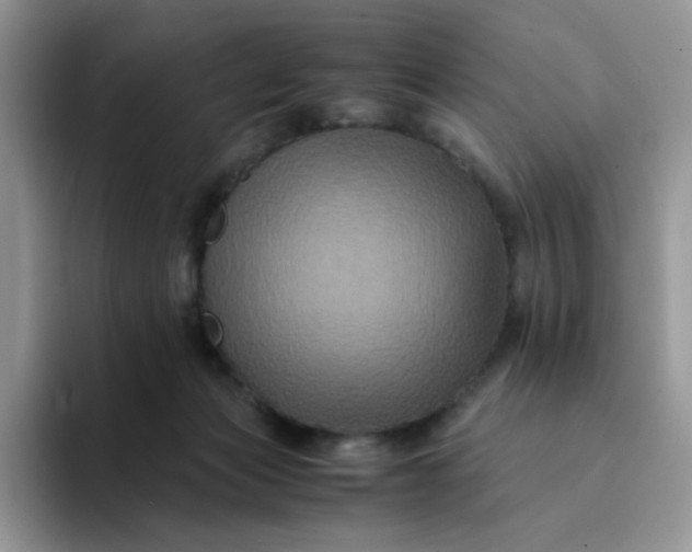 X0000094220173200711091302