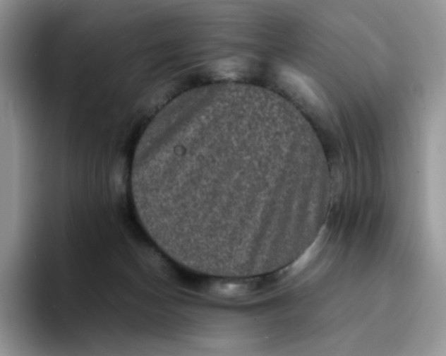 X0000094220174200711091302