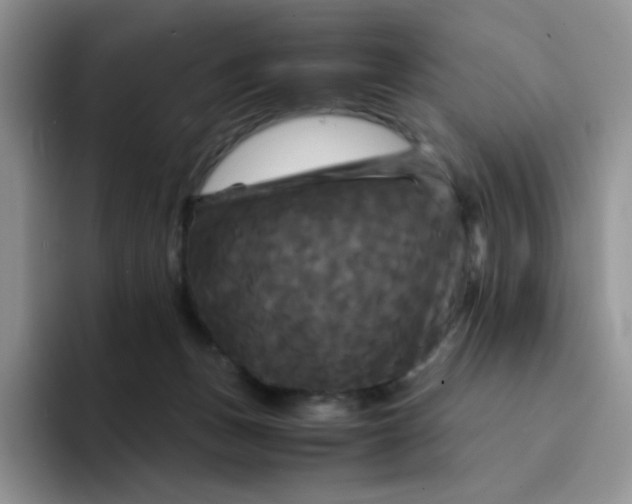 X0000094220175200711091302