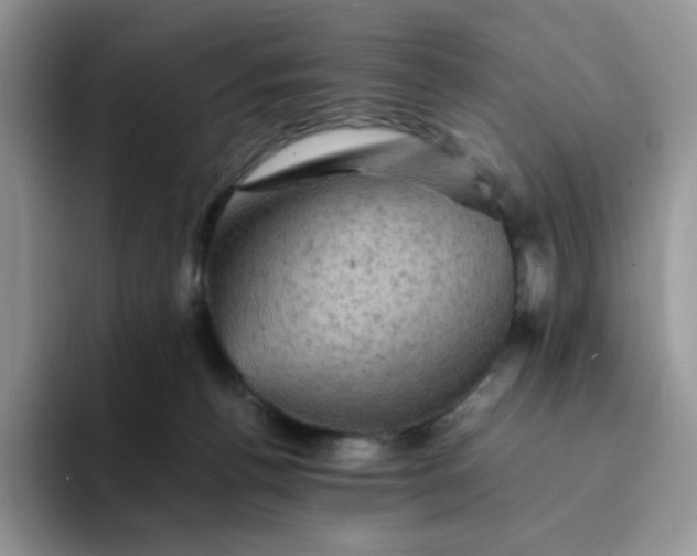 X0000094220176200711091302