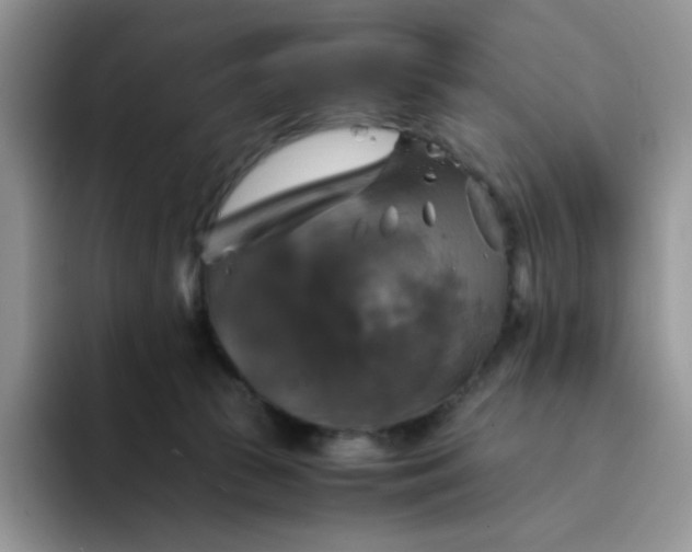 X0000094220177200711091302