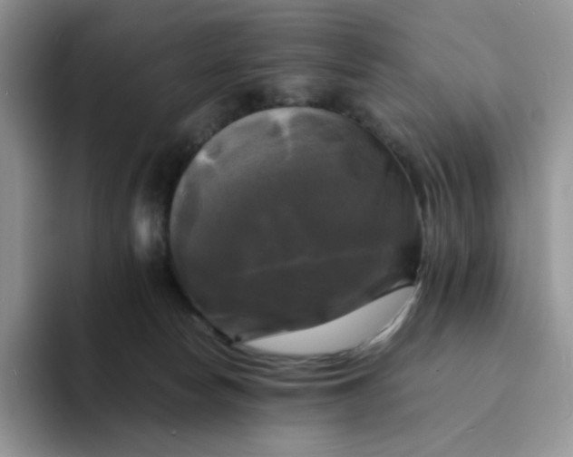 X0000094220178200711091302