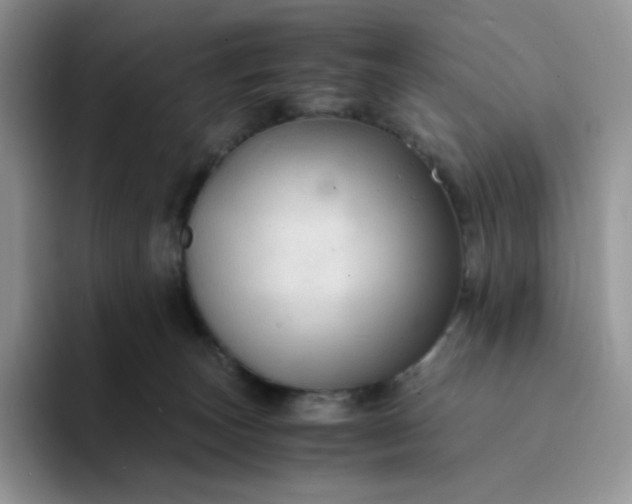 X0000094220179200711091302