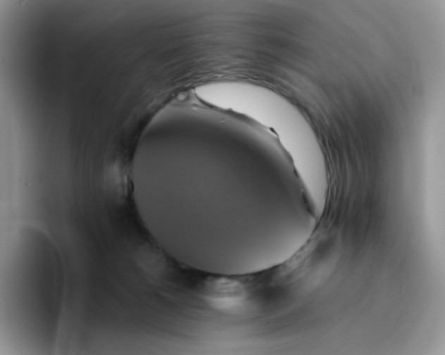 X0000094220180200711091302