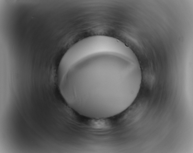 X0000094220181200711091302