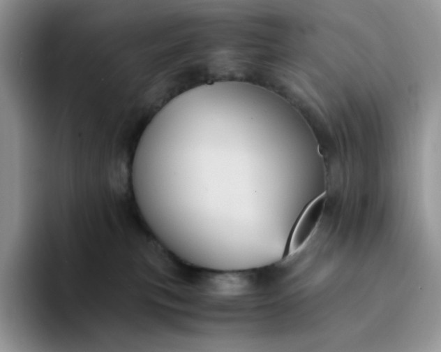 X0000094220183200711091303