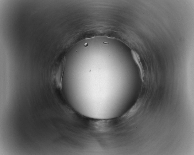 X0000094220184200711091303