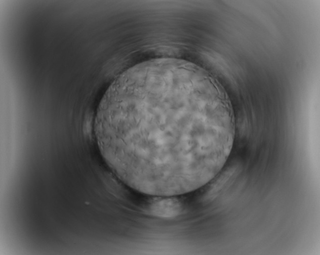 X0000094220185200711091303