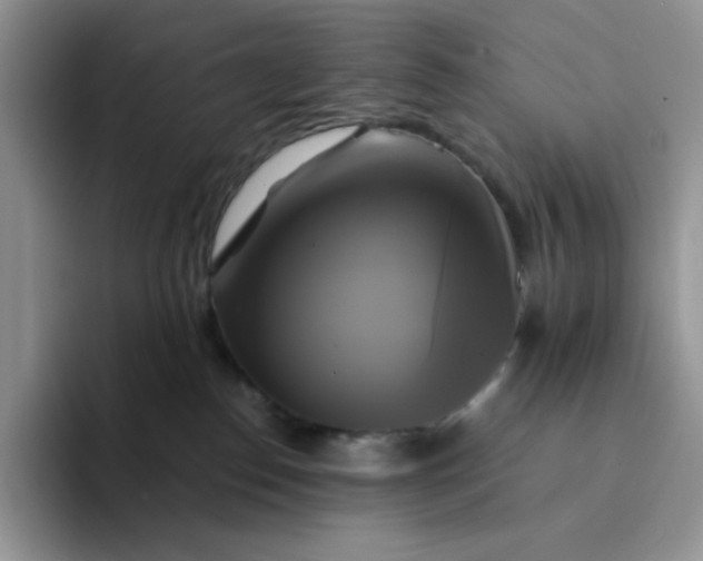 X0000094220186200711091303