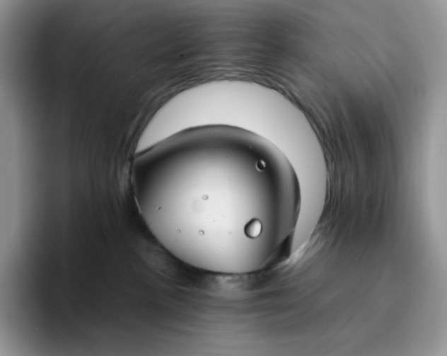 X0000094220188200711091303