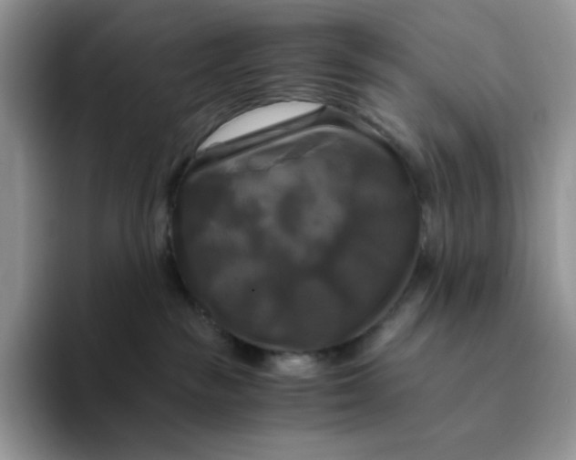 X0000094220189200711091303