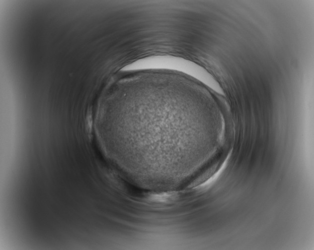 X0000094220190200711091303