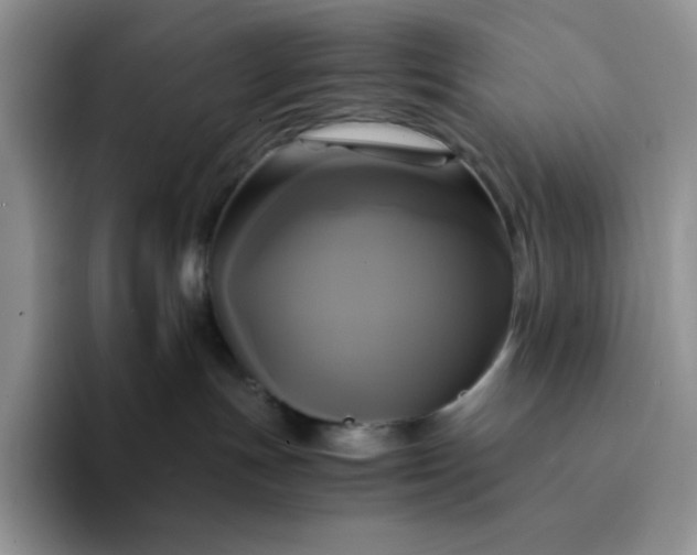 X0000094220191200711091303