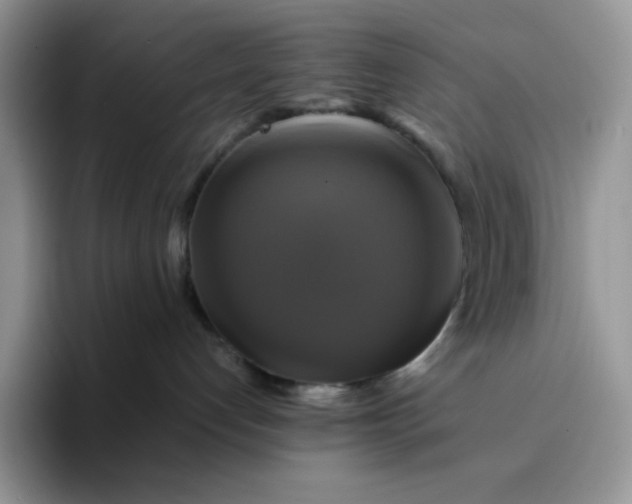 X0000094220192200711091303