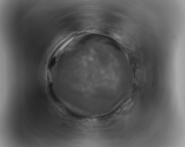 X0000094220194200711091302