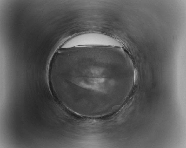 X0000094220195200711091302