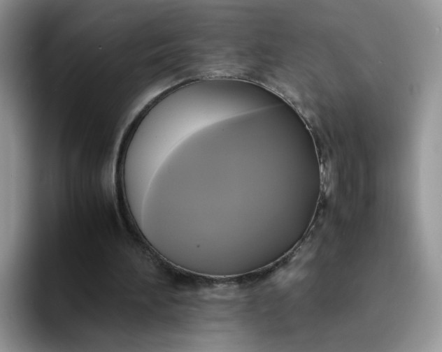 X0000094220196200711091302