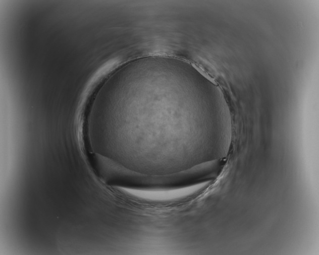 X0000094220197200711091302