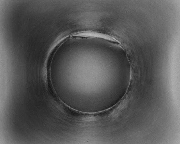 X0000094220198200711091302