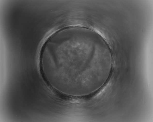 X0000094220199200711091302