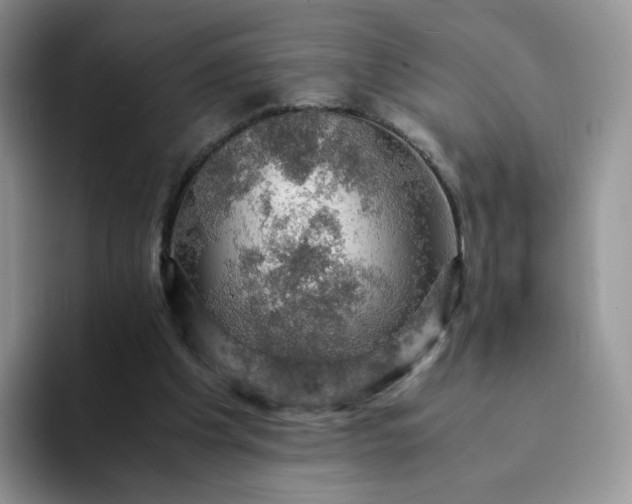 X0000094220201200711091302