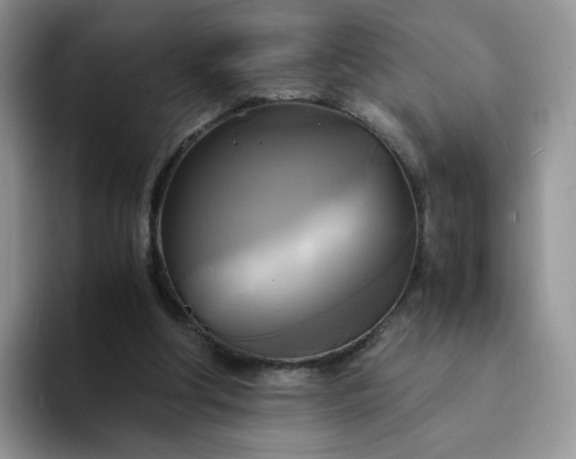 X0000094220202200711091302