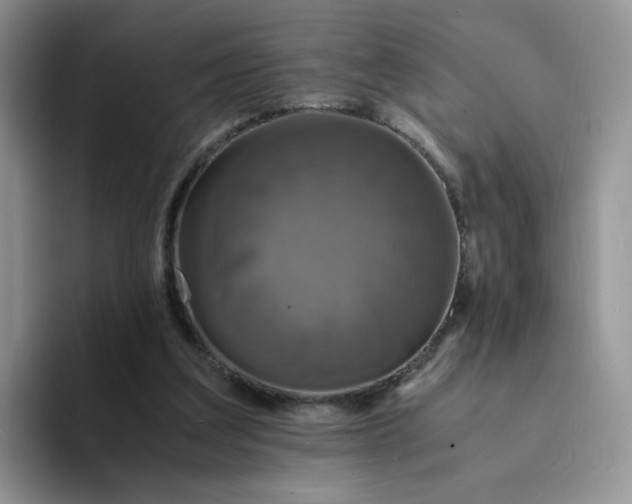 X0000094220203200711091302