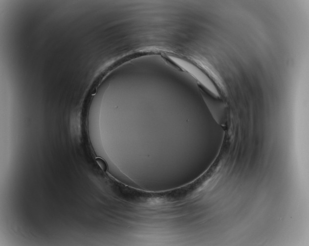 X0000094220204200711091302