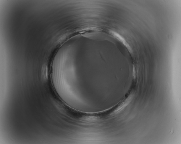 X0000094220205200711091302