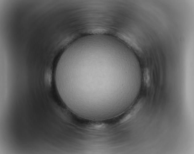 X0000094220206200711091302