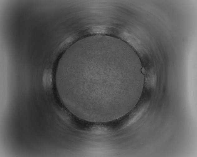 X0000094220207200711091302