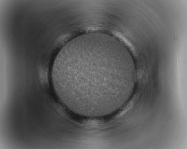 X0000094220209200711091302