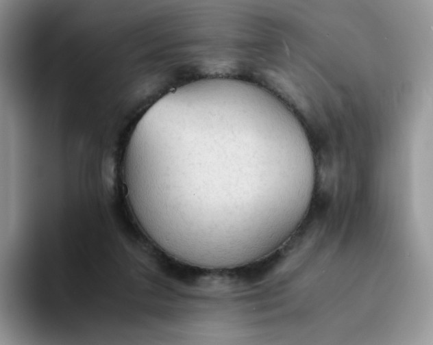 X0000094220211200711091302