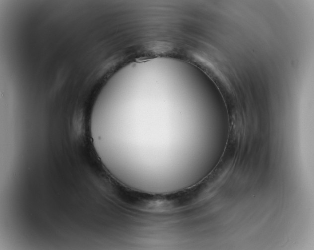 X0000094220212200711091302