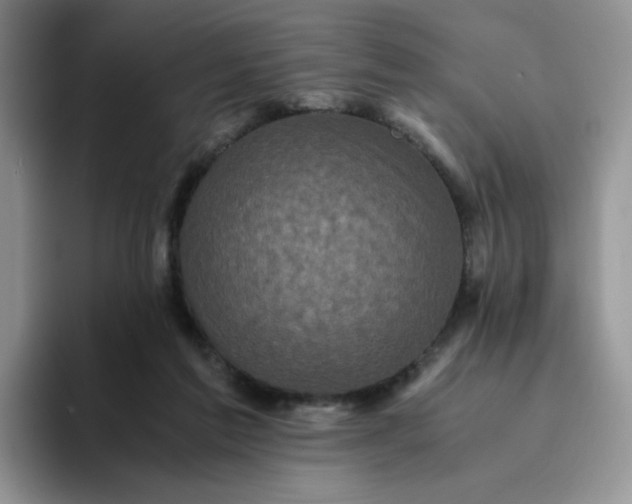 X0000094220213200711091302