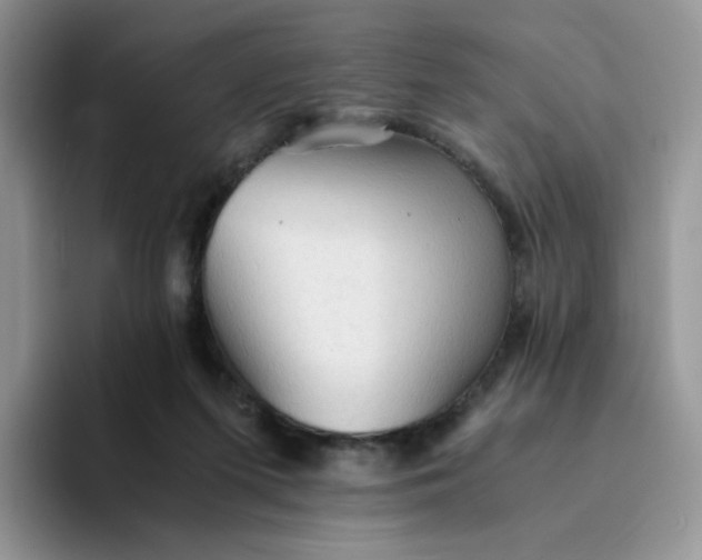 X0000094220215200711091302